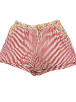 American Eagle Shorts Size Large M0420