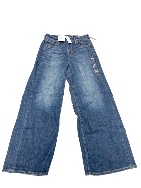 American Eagle Denim Size 3/4 (27) M0239