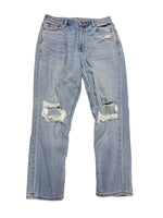 American Eagle Denim Size 9/10 (30) M0084