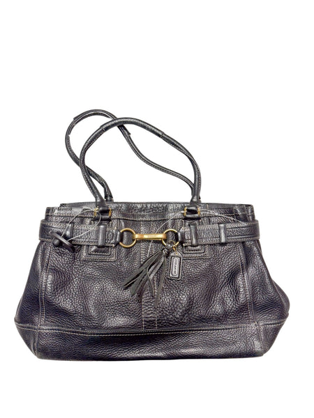 Coach Purse M0340